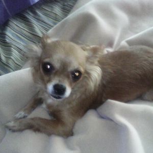 Meet your Posher, Jerry